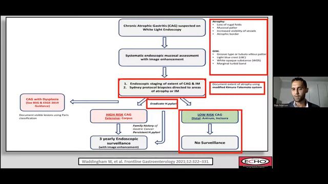 Pre-malignant conditions of the stomach смотреть онлайн