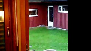 Syma z4w Explorer fpv drone video test