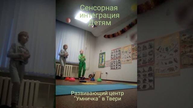 Сенсорная интеграция и мозжечковая стимуляция детям в Твери. смотреть онлайн