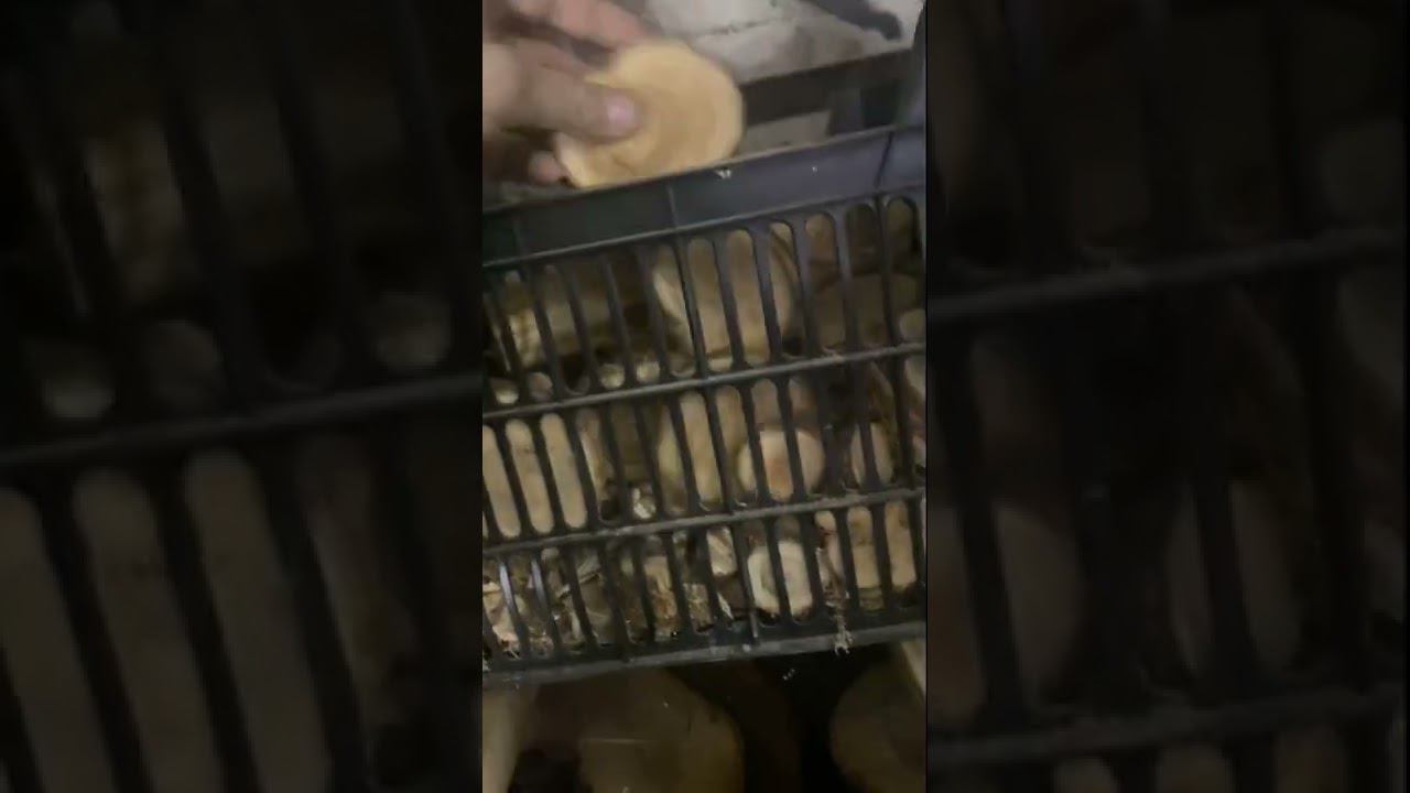 Будет ли работать сушилка !?!? смотреть онлайн