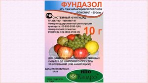 Чем обработать чеснок перед посадкой осенью под зиму