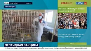 У половины добровольцев антитела после вакцинации сохраняются больше 9 месяцев