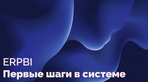 Первые шаги в системе ERPBI