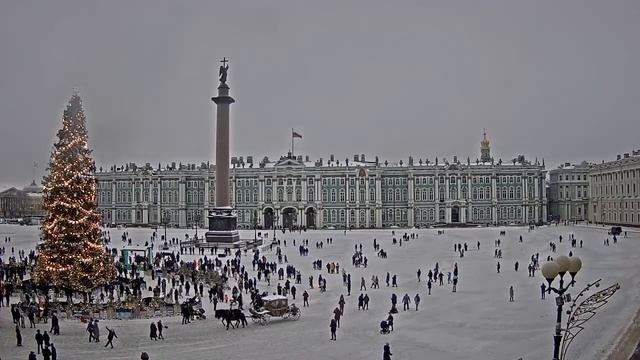 Группа звери дворцовая площадь. Группа звери дворцовая площадь