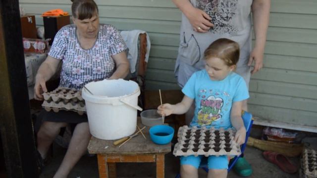 Весенняя посадка моркови в яичных лотках. Супер способ Без хлопот. РУССКОЕ РАНЧО.