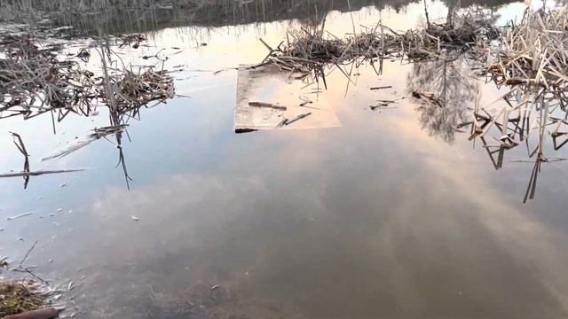 ОПЯТЬ И ОПЯТЬ смотреть онлайн