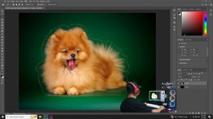 How to proper remove fur background or soft hair in photoshop