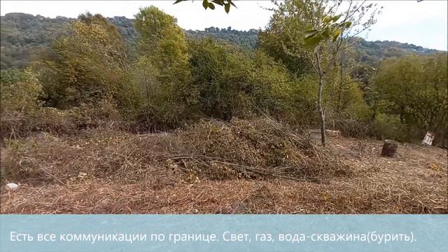 Сочи, СНТ Кипарис, 4 сотки, 2 млн руб
