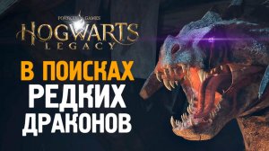 ДРАКОНЫ И БРАКОНЬЕРЫ - HOGWARTS LEGACY #12