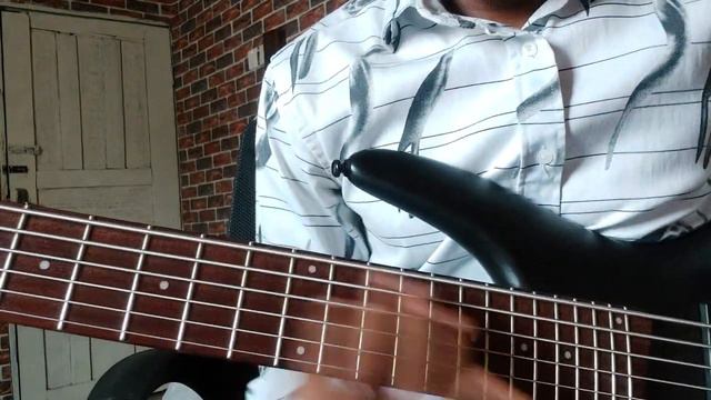 THIS BASS GUITAR IS MED...😘💖 | Ibanez Sr306be 6 Strings bass Natural Sound смотреть онлайн