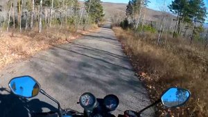 racer magnum 200 | покатушка на рейсер магнум 200 | мото(по болотам на мото)