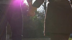 ЭДЕЛЬВЕЙС (песня)