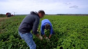 "На земле"/«Национальная телерадиокомпания Чувашии»