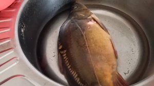 Жареный карп на сковороде