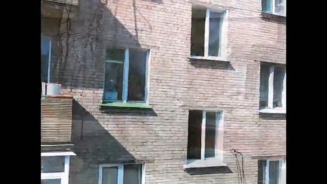 Alex у нас во дворе смотреть онлайн