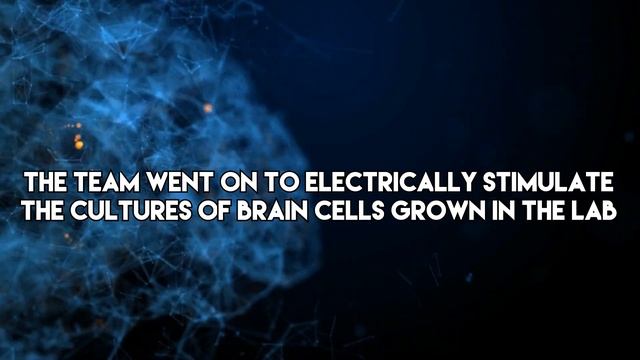 Chimera Mind: The Fusion of Human-Mouse Brain Cells and AI in DishBrain смотреть онлайн