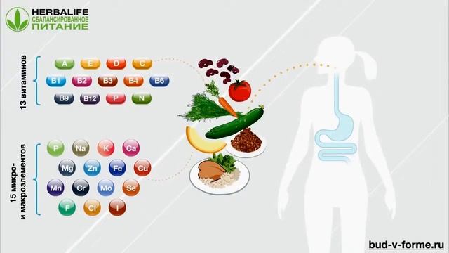 Завтрак гербалайф   основа сбалансированного рациона смотреть онлайн