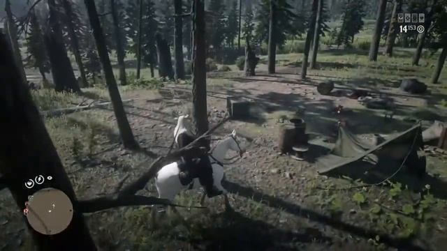 Недельное обновление,витализм,легендарные медведи. смотреть онлайн