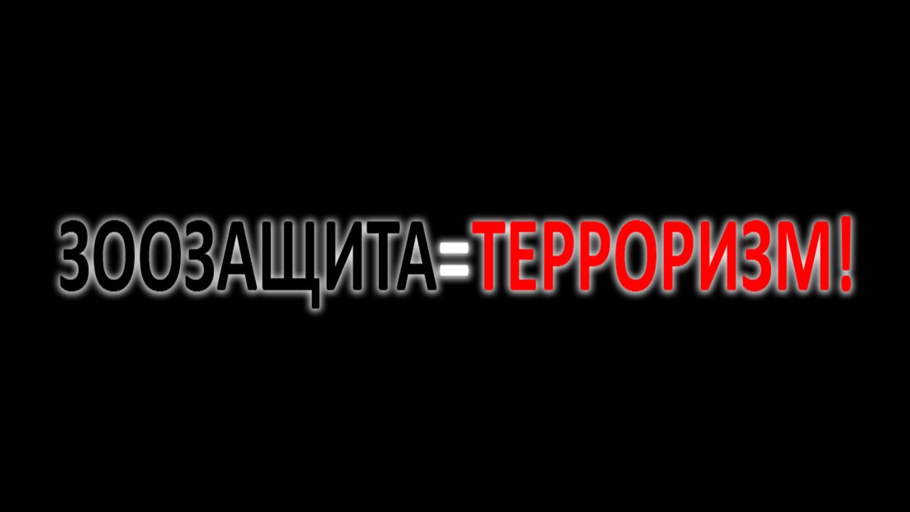 ЗООЗАЩИТА=ТЕРРОРИЗМ! (01.08.2020 г.)
