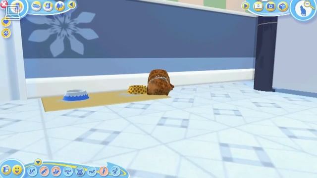 Скачать бесплатно игру про котят котов и кошек на компьютер Catz 2 Русская версия репак геймфан.рф смотреть онлайн