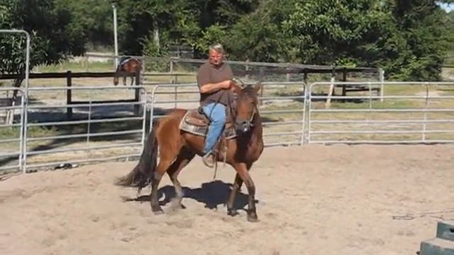 Ronnie Ford Mustang Chloe смотреть онлайн