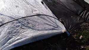 #КЛУБНИКА. КАК УКРЫТЬ КЛУБНИКУ НА ЗИМУ