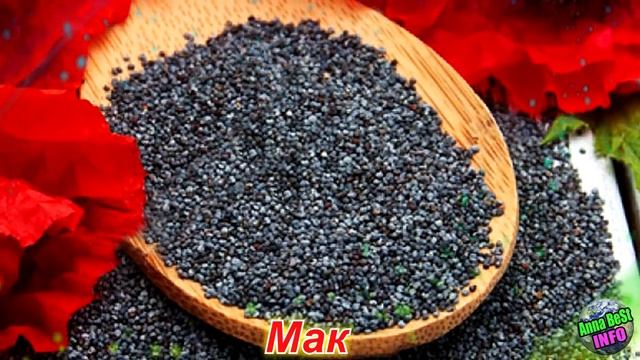 ПОЛОЖИТЕ ЭТО В КАРМАН, ЧТОБЫ ПРИВЛЕЧЬ УДАЧУ!!! смотреть онлайн