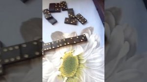 Как научиться играть в домино