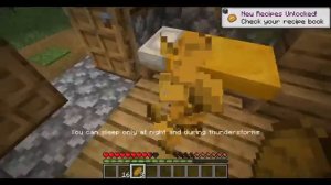 The New New world Minecraft Java #1