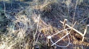 Установка подъемной петли на фазана ?