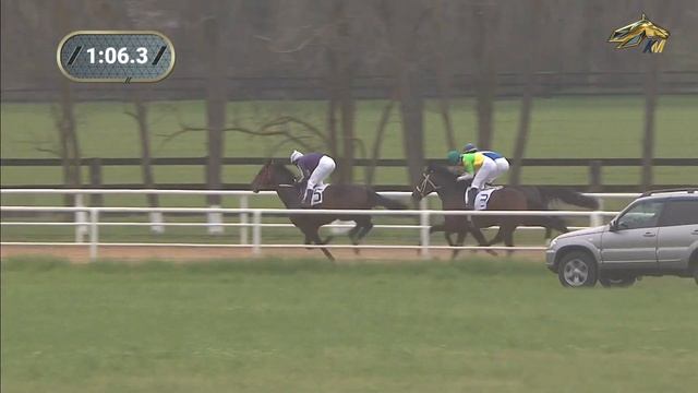 Скачки. Краснодар. Приз вступительный (Гр.3). Чистокровная верховая порода. 25.04.2021 смотреть онлайн