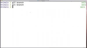 Viewing All Branches With Git Branch