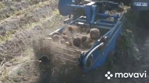 СКАУТ Т-18, урожай 2020.