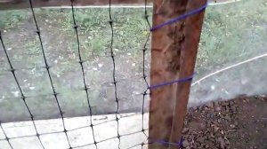 Парник под огурцы