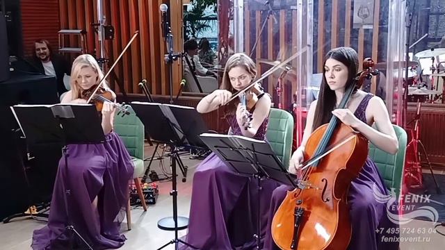 Заказать струнный коллектив на праздник и свадьбу в Москве - живая музыка на встречу гостей и юбилей