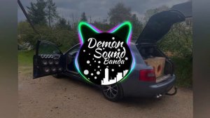 комбинация-два кусочека калбаски 31-35hz (Demon Sound Banda)