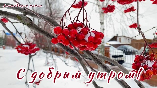 Сегодняшний день для нас особенный, он объявлен Днем культуры Лаишевского района. смотреть онлайн