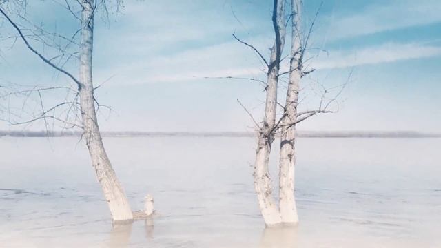 Течёт-утекает жизни Река... Стихи Ларисы Александровой. Читает автор смотреть онлайн