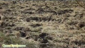 ДИСКОВАНИЕ УЧАСТКА ДИСКАМИ БДН