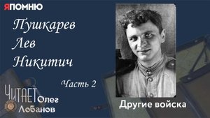 Пушкарев Лев Никитич Часть 2.Проект "Я помню" Артема Драбкина. Другие войска.