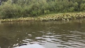 ЧАСТЬ 3 Пешеводный поход по рекам Мурюк и Золотой Китат.