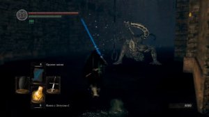 Фейлы, баги и забавные моменты Dark Souls 1