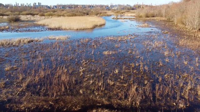 Орлинское озеро, село Орлино, речка Орлинка и посёлок Дружная Горка, апрель... смотреть онлайн