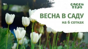 Сад на 6 сотках весной. Ландшафтные хитрости. Тизер