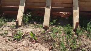 Заделка дыр и щелей в опалубке. Дом своими руками