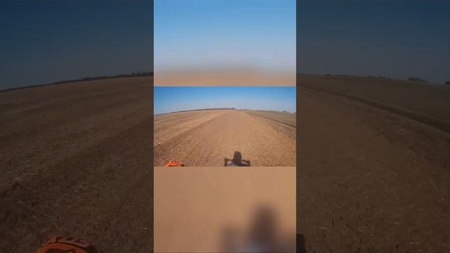 ДАЛ ДАЛ ПО ПОЛЮ НА ПИТБАЙКЕ | KAYO TT 140 #kayo #питбайк #эндуро смотреть онлайн