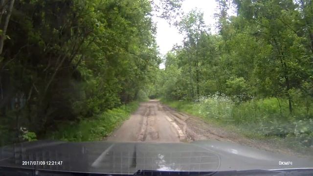 09.07.2017 Лесная дорога в Сиверской смотреть онлайн