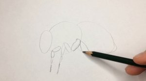 как нарисовать насекомое карандашом поэтапно