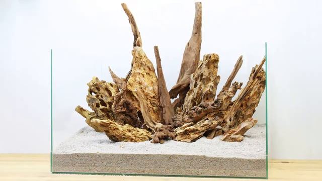 Дизайн для аквариума с почвопокровными растениями. Хардскейп из Дракона и Коралловых корней. смотреть онлайн