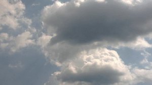 русским пох